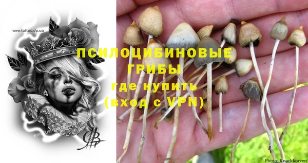 МДПВ Арсеньев