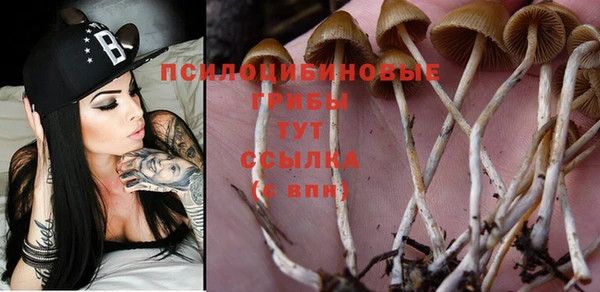 MESCALINE Армянск